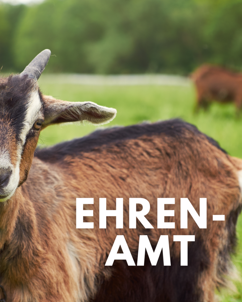 Ehrenamt im Tierschutz