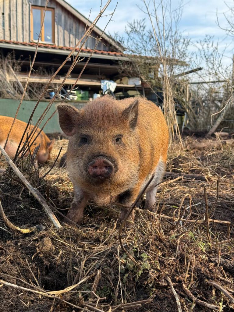 photo_5355293279006095065_y