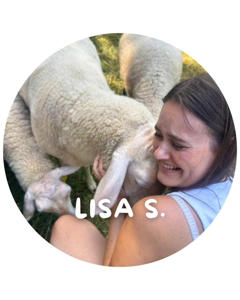 Back Office & Ehrenamt